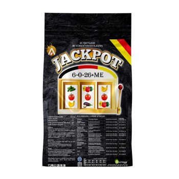 jackpot kopya